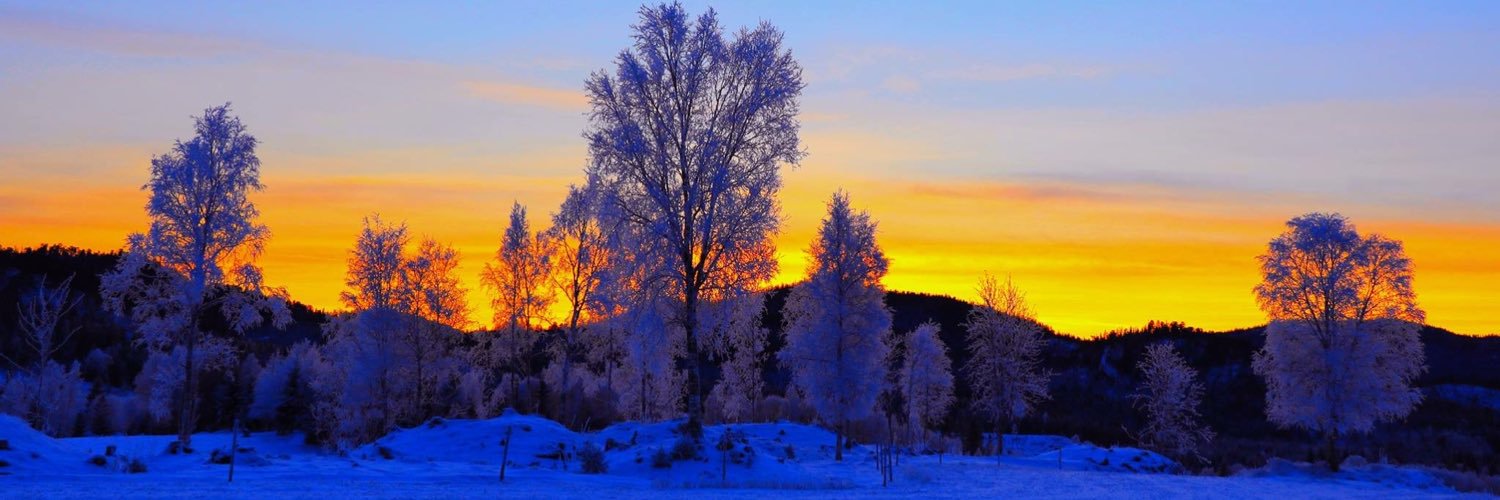 Skjalg L. Sellæg 🌈⃤— banner