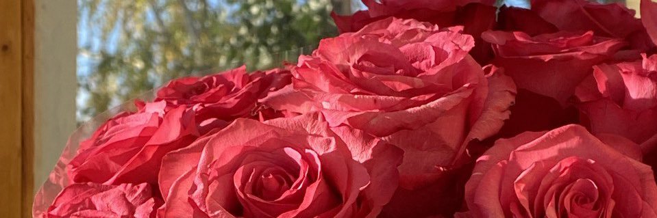 liyaholmatovaaa's profile banner image