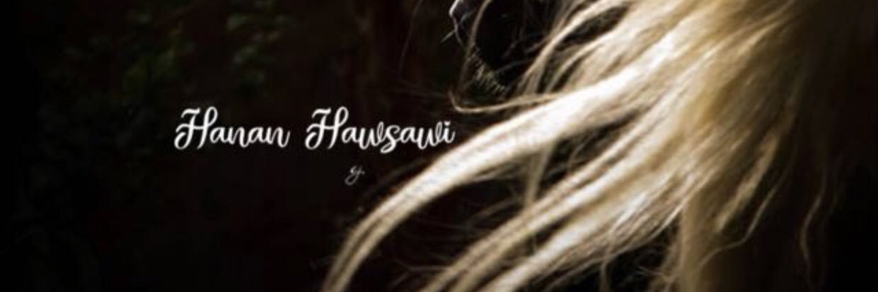 Hnaan330's profile banner image