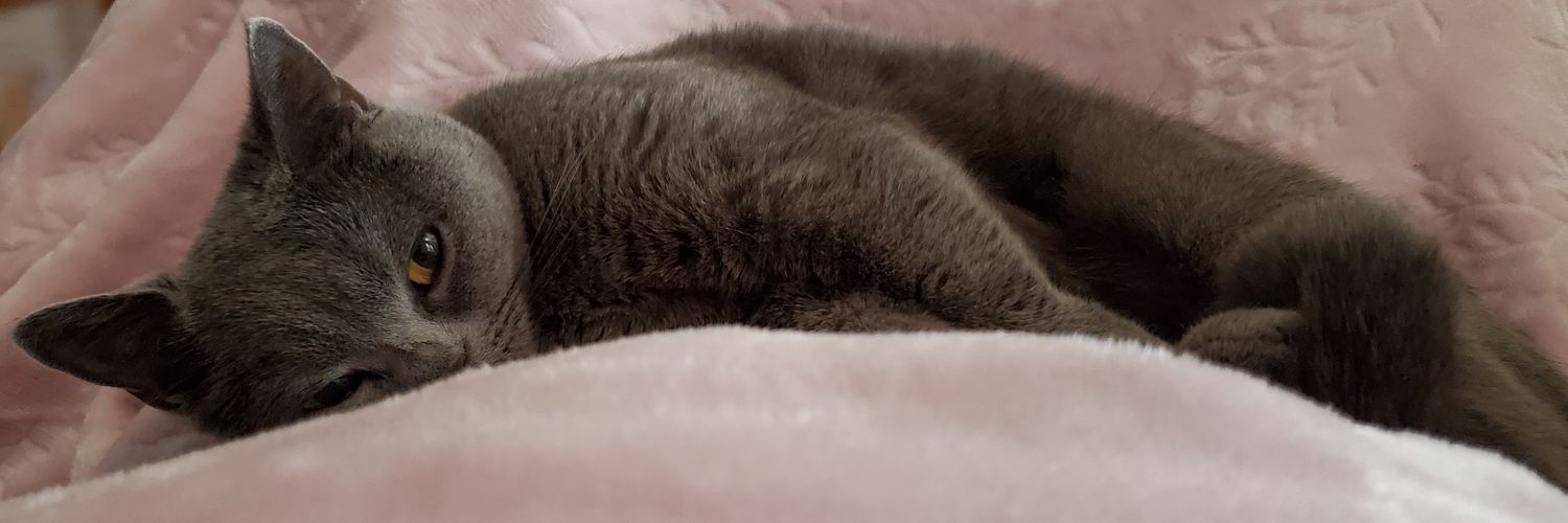 まるのお母さん banner