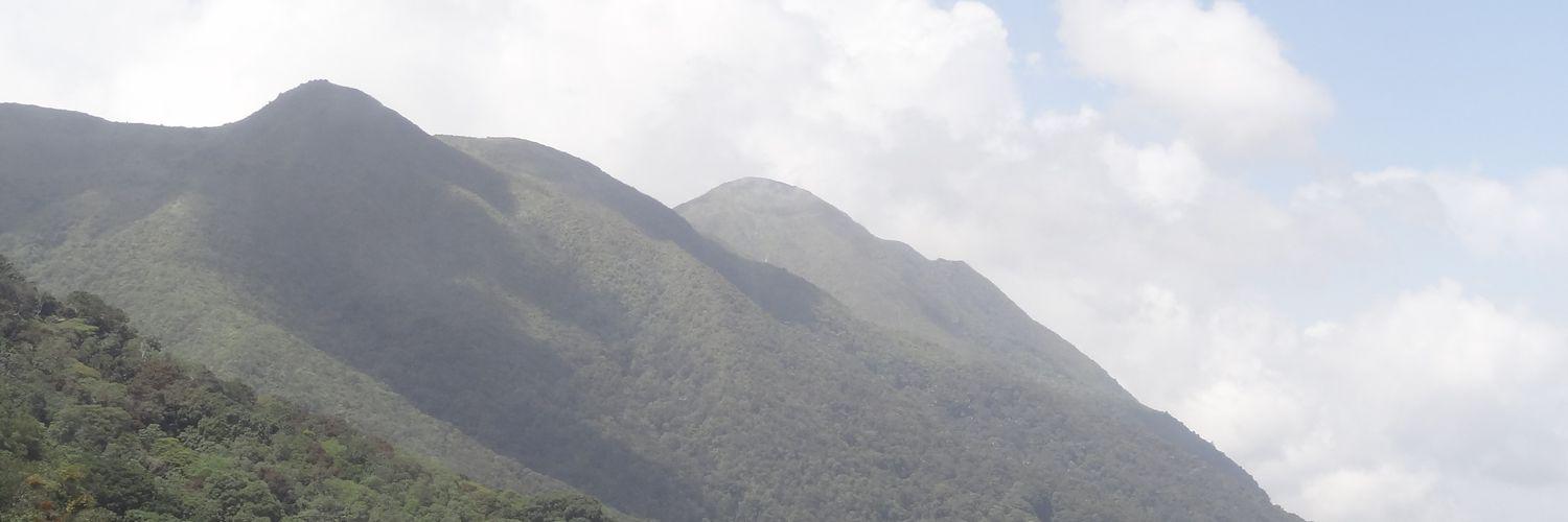 nellacord's profile banner image