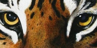 AlexPaone1's profile banner image