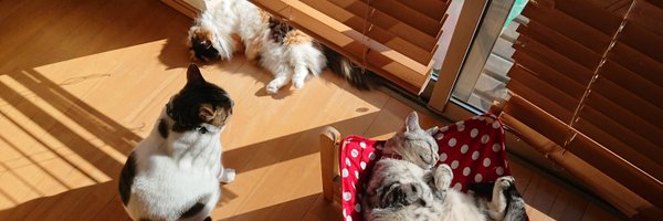 uninosuke Profile Banner