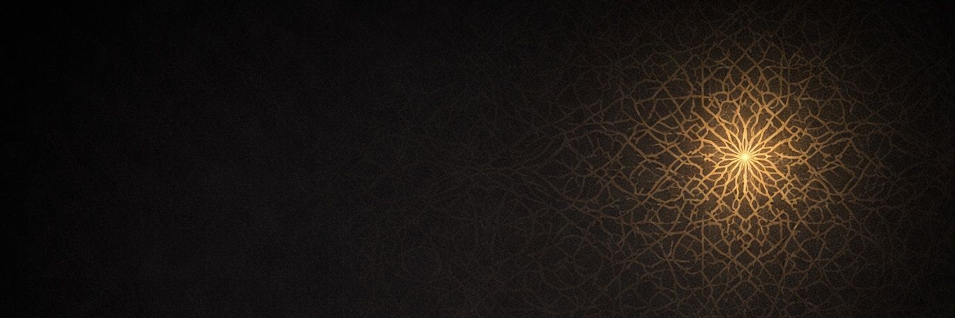 Ali ████ banner
