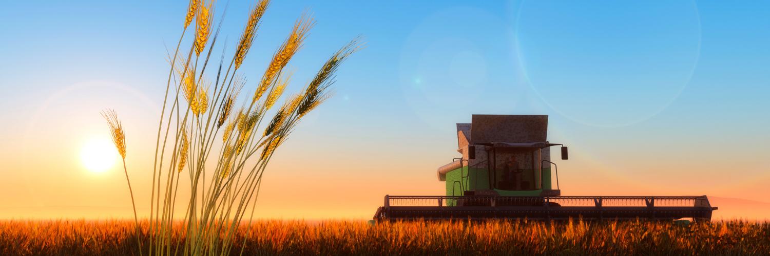 DirtSouthern's profile banner image