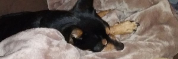 Mespiker Profile Banner