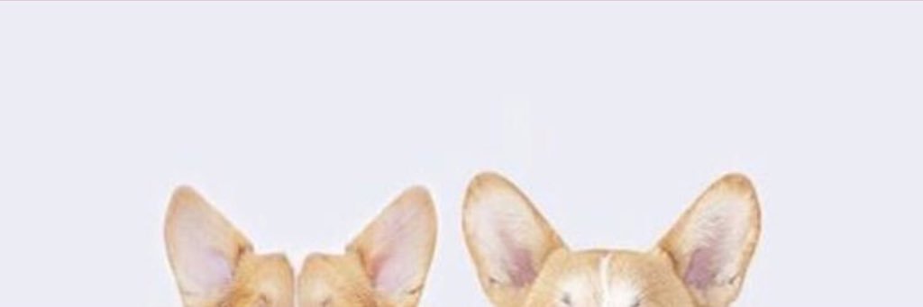 MichaelLeech4's profile banner image