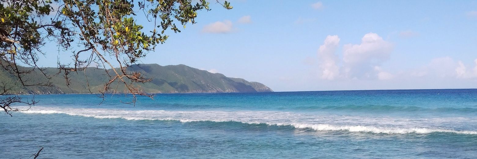 JudeRoseKat's profile banner image