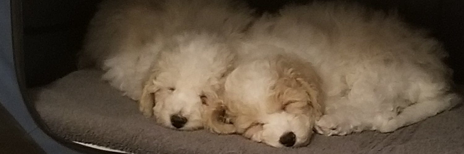 daddy_ra's profile banner image