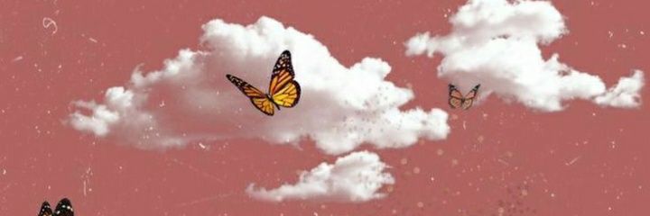 Flawer_23's profile banner image