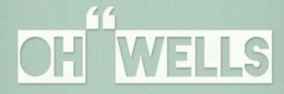 Wellsie banner
