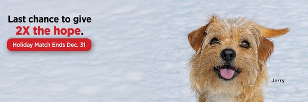 cthumane Profile Banner