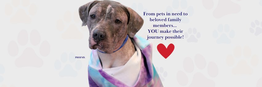 cthumane's profile banner image