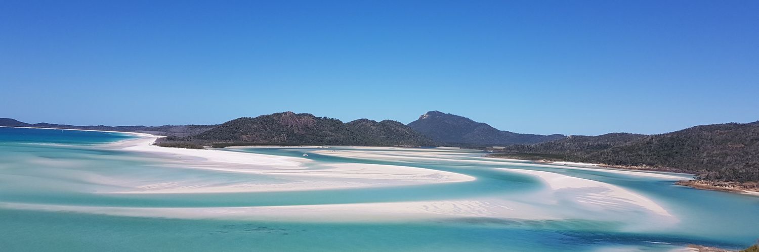 Helen M E Tansley banner