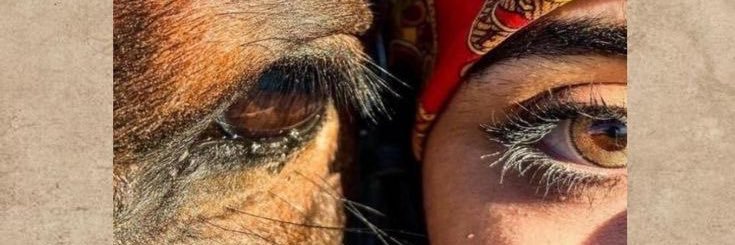 afaf✨ banner