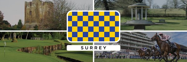 DailySURREY Profile Banner