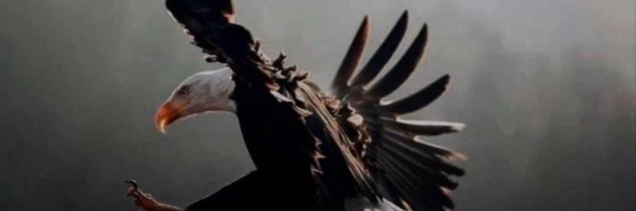 06_Son_Of_April☆⚡ banner