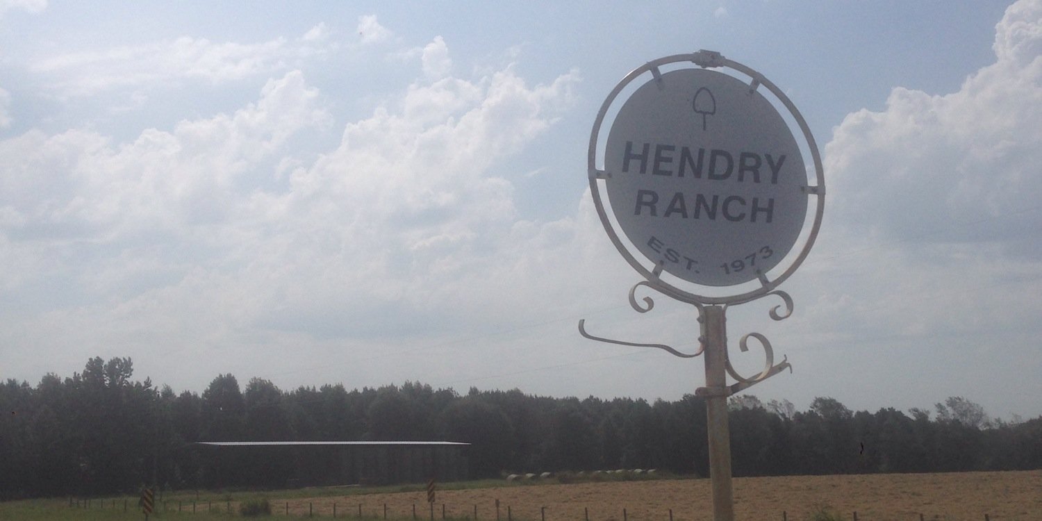 hendry010's profile banner image
