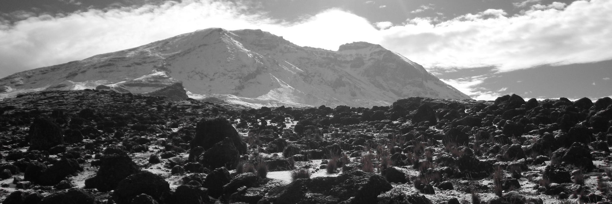 Aaron Rothstein banner