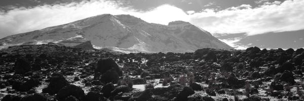 AaronRothstein Profile Banner