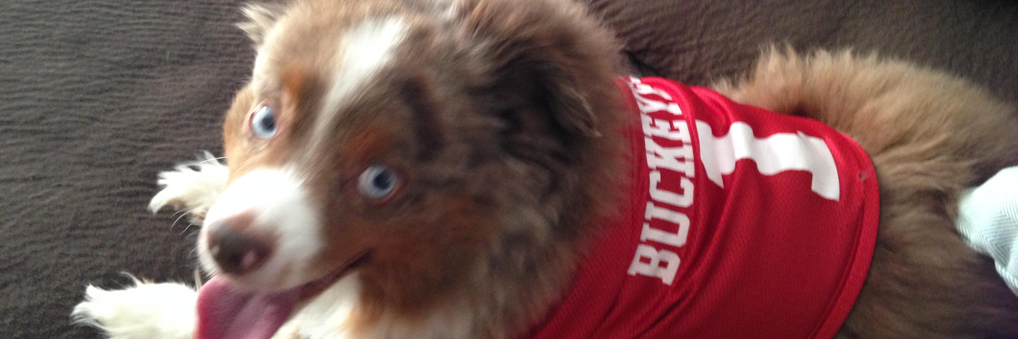 MissWrightRM's profile banner image