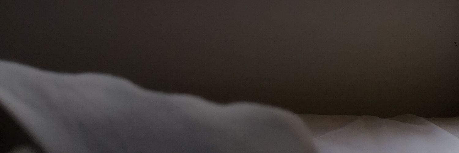 PKPAMNA's profile banner image