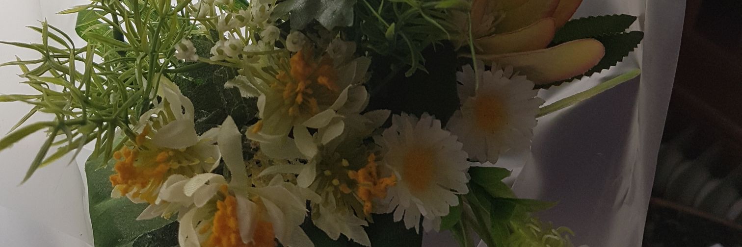 molledeleon's profile banner image
