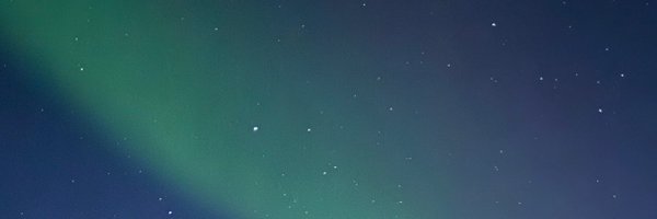 NikkiCatania Profile Banner