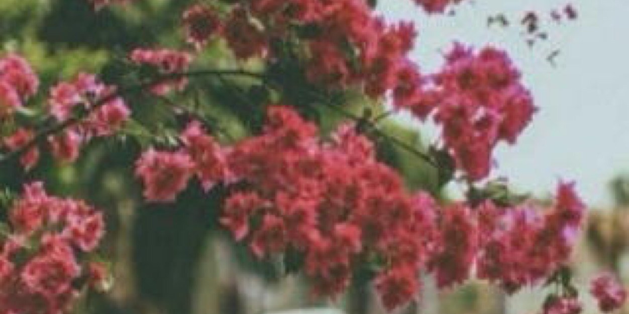 ساره banner