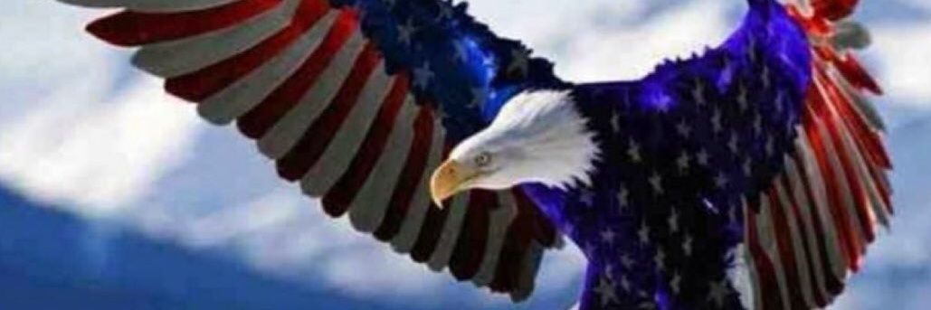 Dr. Preserve our REPUBLIC 🦊FoxKat🐱™ banner