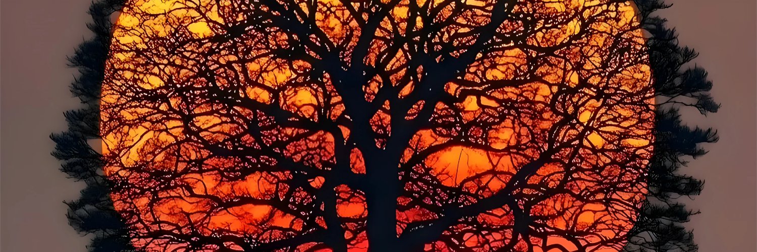 daveglhr's profile banner image