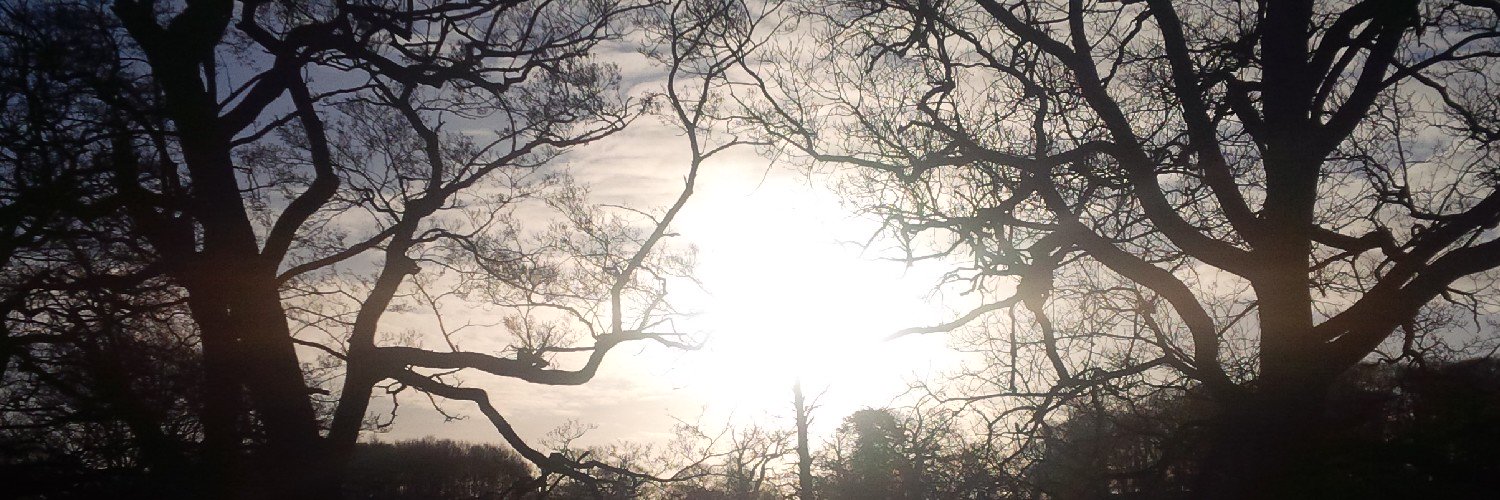 ManorHumanities's profile banner image