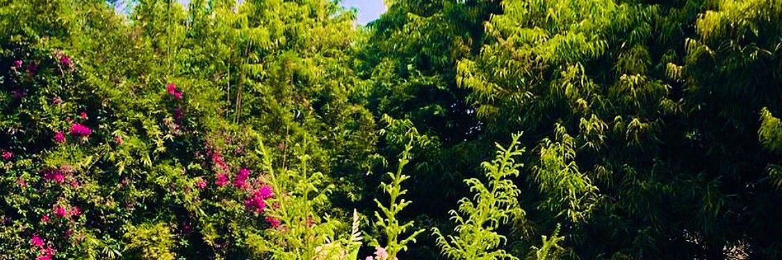 Stew Officiel banner