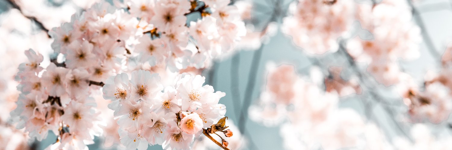 lora_thornton's profile banner image