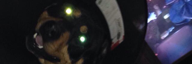 dimbeet's profile banner image