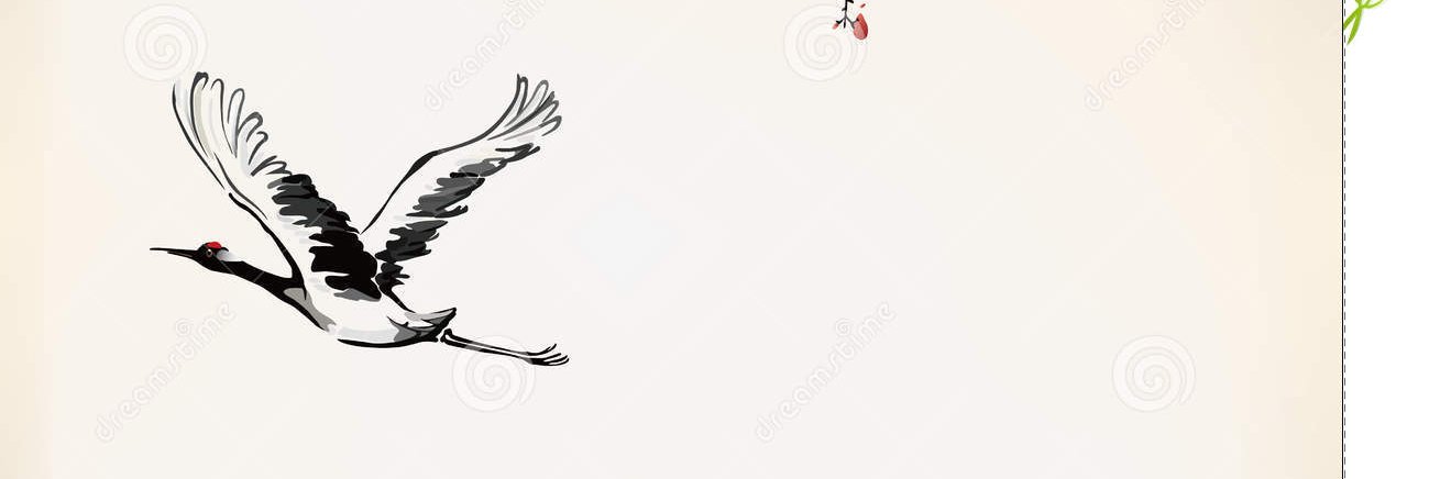 seyranef's profile banner image