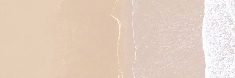 wiIddaze's profile banner image
