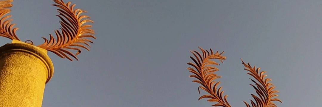 Manutuli29's profile banner image