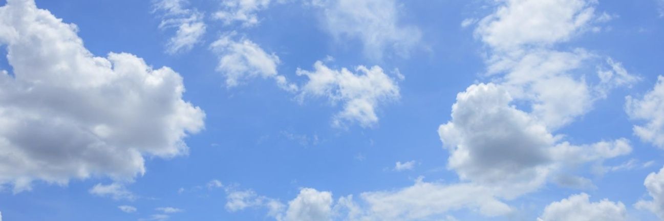 Cami_CMCA's profile banner image