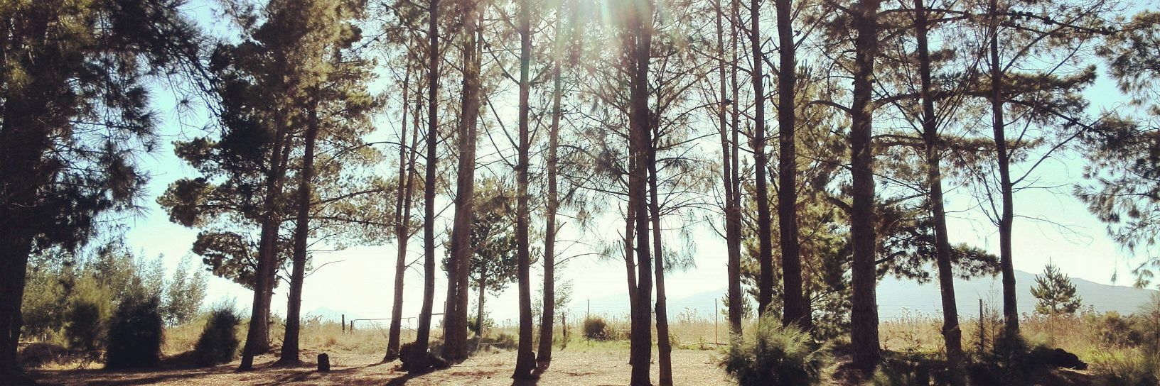 TimothyMostert's profile banner image