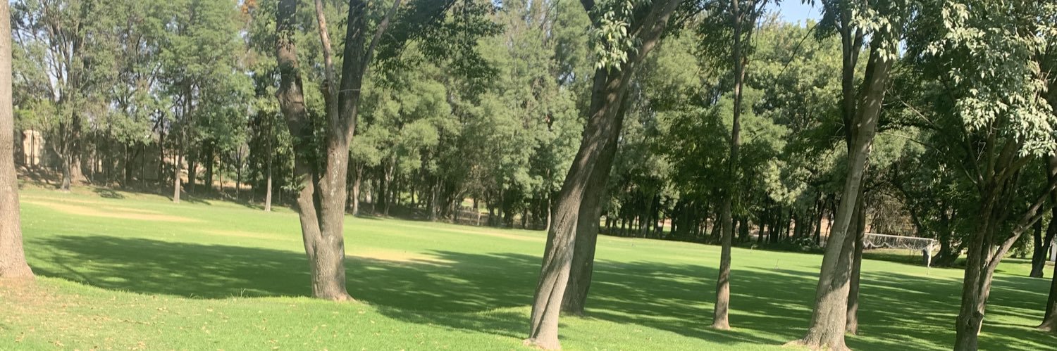 lmorales62's profile banner image