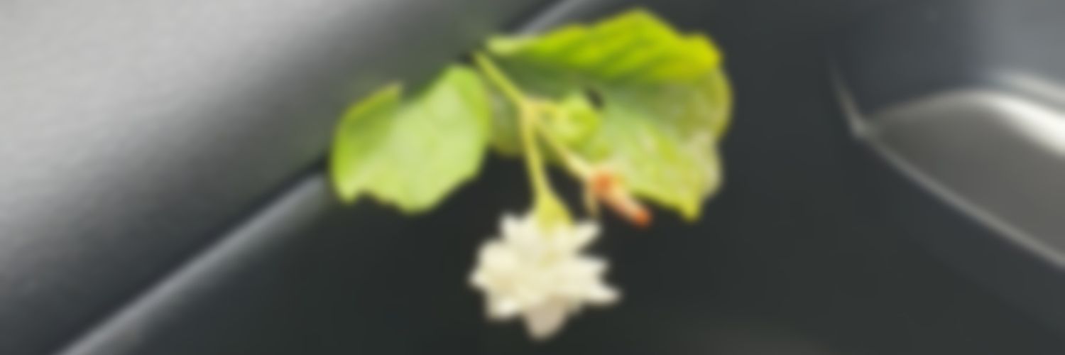 alslman277's profile banner image