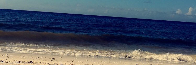 ashleyyott's profile banner image