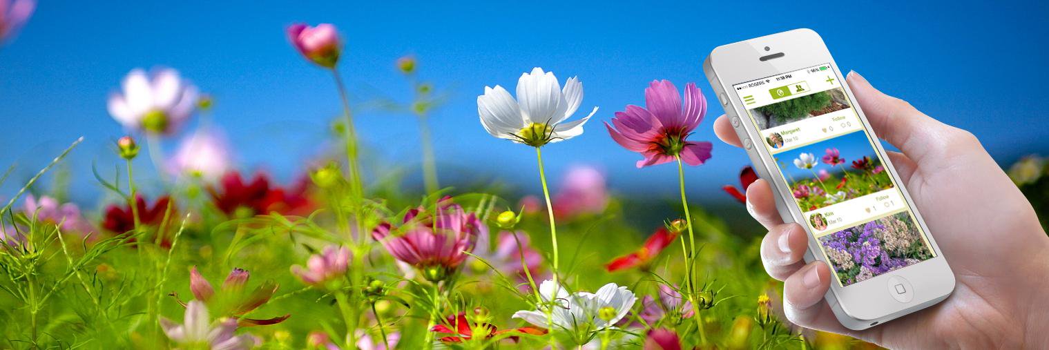 Plantola's profile banner image