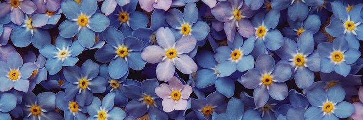 isabel_eidhamar's profile banner image