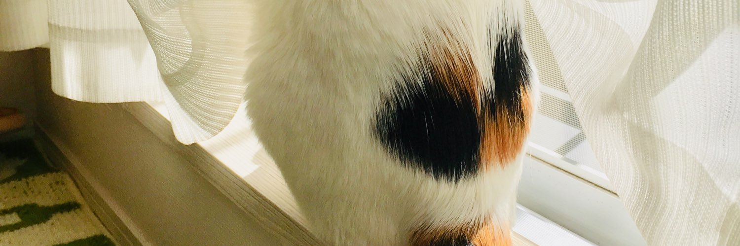 MITURINGO's profile banner image