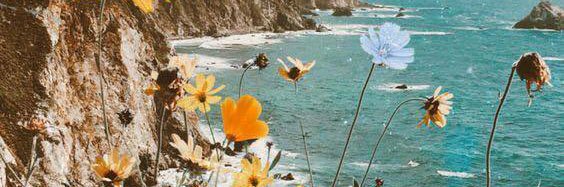 lamya_g's profile banner image