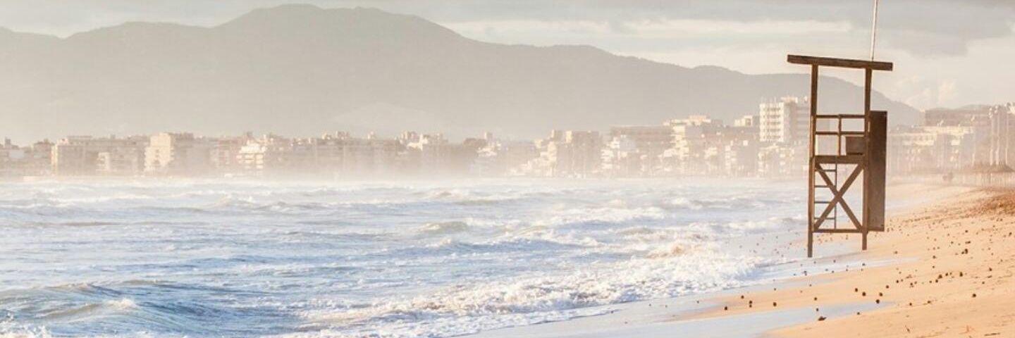 borboletacff's profile banner image