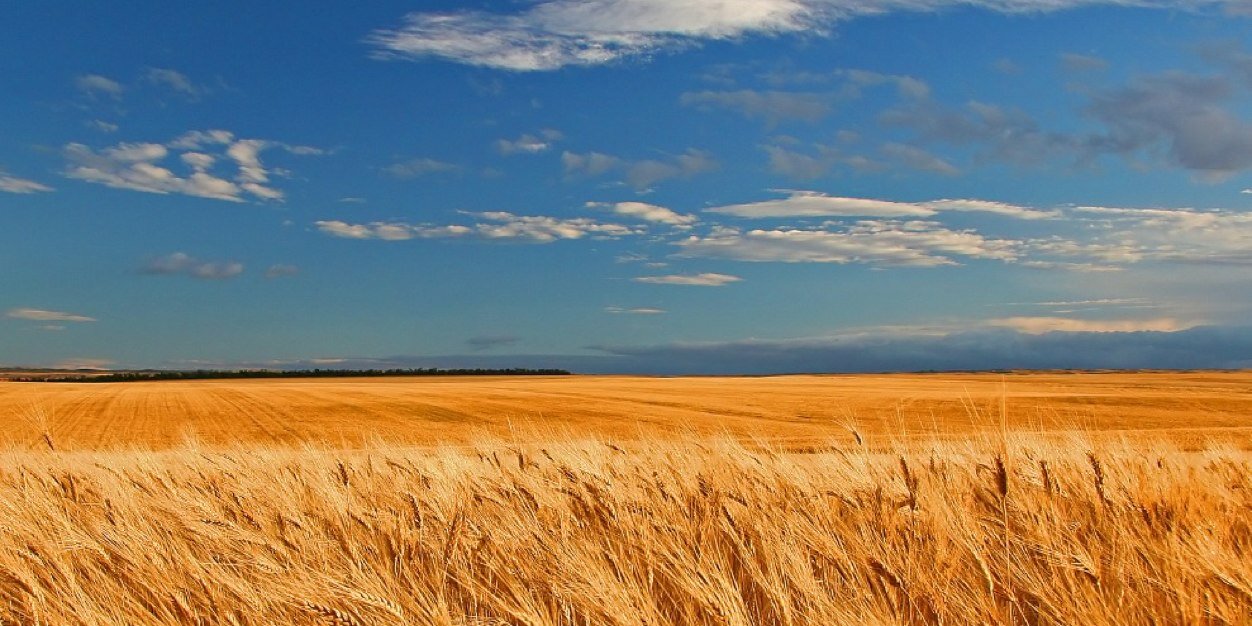 St. Catherine School banner