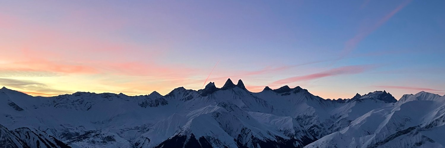 Renaud Bidou banner